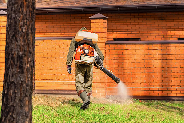 Trusted Mosquito Control service in Goulds, FL - Nex Pest Control